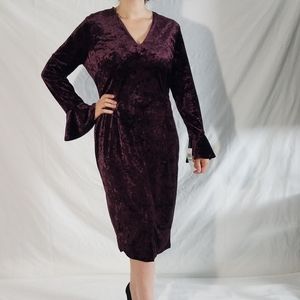 NWT Woman's velvet dress